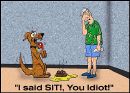 Sit_dog