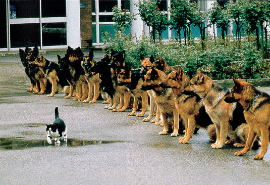 Selfconfidence