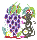 rat